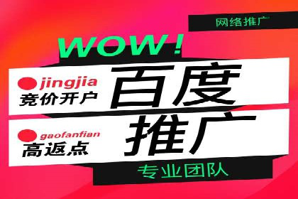 百度广告推广在旅游行业的成功案例